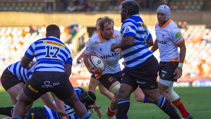 Cheetahs fight back to beat Province in wet Cape Town | News Article