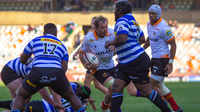 Cheetahs fight back to beat Province in wet Cape Town Cheetahs fight back to beat Province in wet Cape Town | News Article