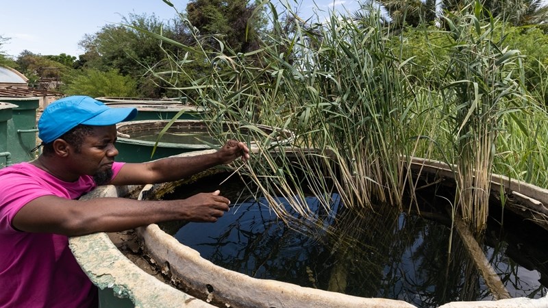 Inwoners van Kakamas vrees selfs erger waterkrisis | News Article