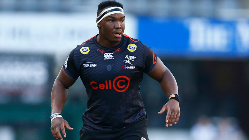 Majola geared for stint at the Cheetahs | News Article