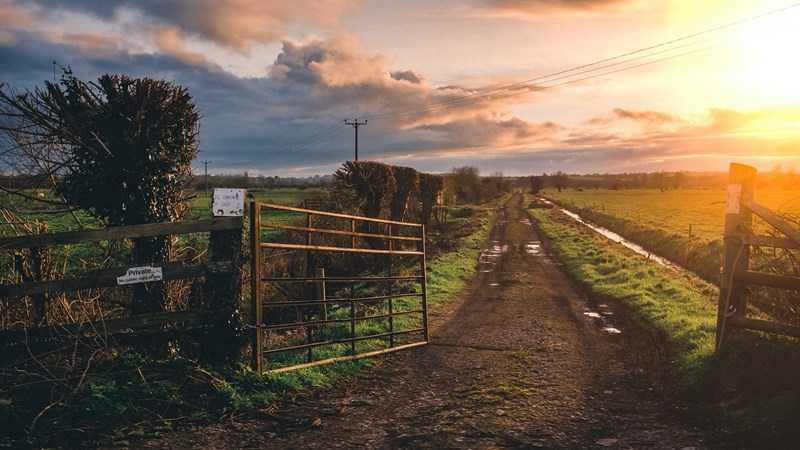 Landbounuus-podcast: Plaasmoorde toon afname in eerste kwartaal van 2023 Landbounuus-podcast: Plaasmoorde toon afname in eerste kwartaal van 2023 | News Article