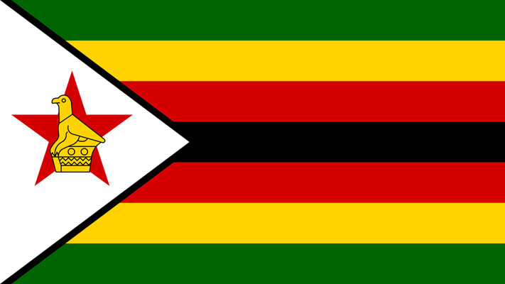 14 opposition activists in Zimbabwe are released after months in prison | News Article