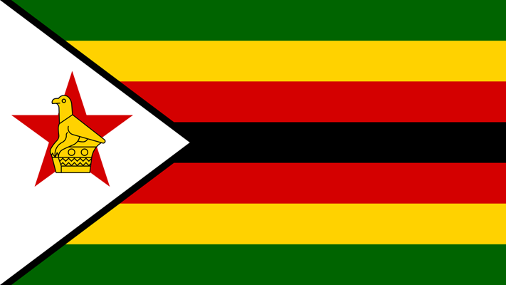 14 opposition activists in Zimbabwe are released after months in prison 14 opposition activists in Zimbabwe are released after months in prison | News Article