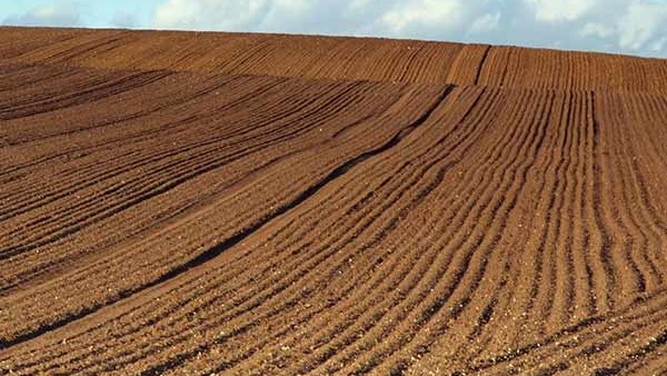 Agri-Uur: Jongste Safex-nuus Agri-Uur: Jongste Safex-nuus | News Article