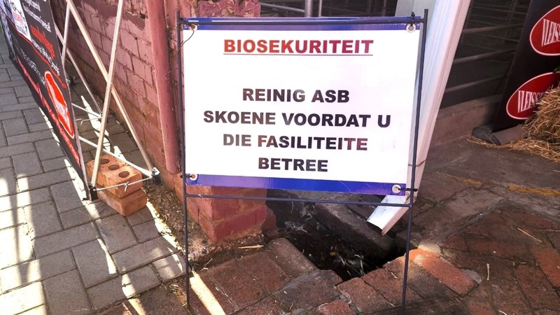 Kommer dat mense #FMD versprei Kommer dat mense #FMD versprei | News Article