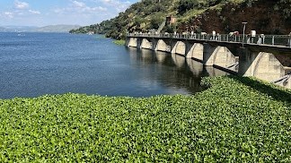 Tests show Hartbeespoort Dam water quality up to scratch Tests show Hartbeespoort Dam water quality up to scratch | News Article