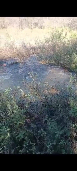 Parts of Bloemfontein left waterless | News Article