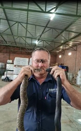 Beweerde slangvanger van Bultfontein gevonnis | News Article