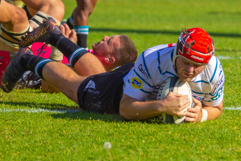 Never-say-die Griquas upset the Sharks | News Article
