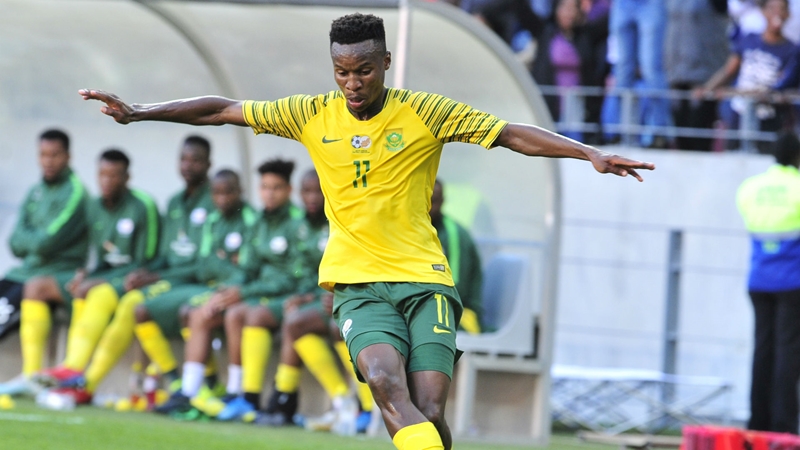 Zwane earns a recall to Bafana Bafana | News Article