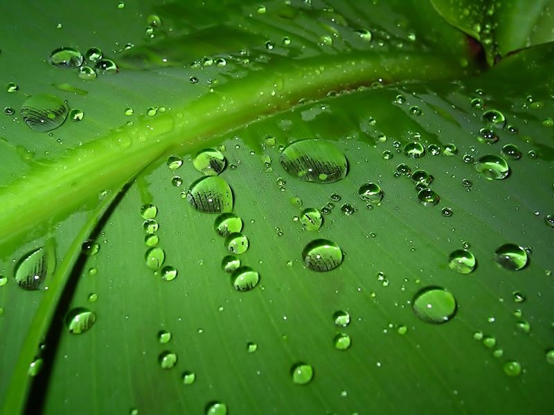 #Agbiz: Positive indications about SA's upcoming summer season | News Article