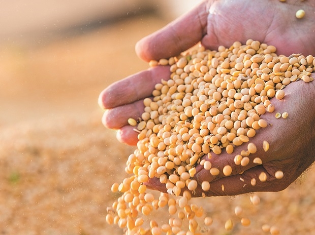 #Agbiz: SA food price inflation likely to moderate in the second half of 2021 | News Article