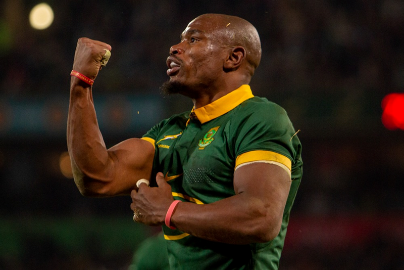 Boks victorious against a brave Portugese side | News Article