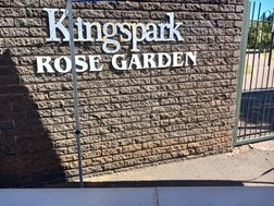 Opening of Kingspark Rose Garden a great success | News Article