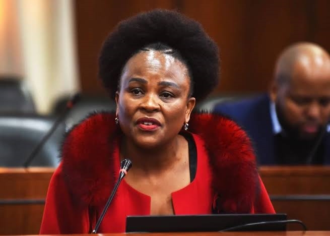 FS residents were overcharged - Public Protector | News Article