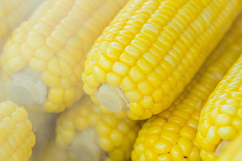 Agri-uur: Jongste Safex-nuus | News Article