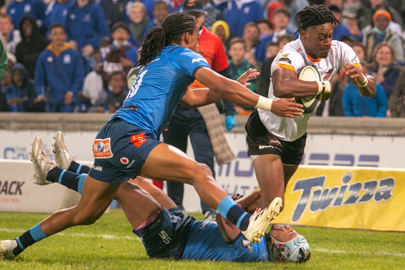 Cheetahs want to give Kasende proper send-off | News Article