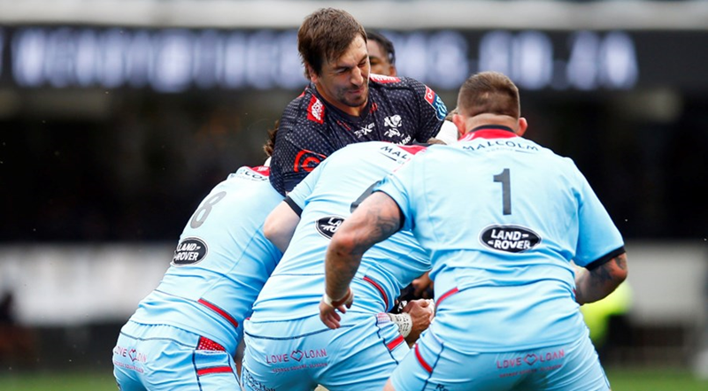 Sharks surge as Stormers remain unbeaten | News Article