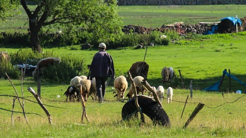 Wat is nuut in Farmer's Weekly? Wat is nuut in Farmer's Weekly? | News Article