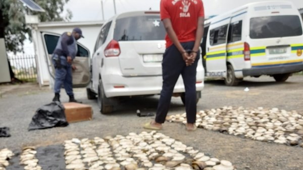 Reddersburg police bust man for 16 bags of abalone Reddersburg police bust man for 16 bags of abalone | News Article