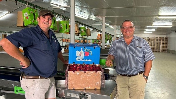 Vrystaatse appels floreer terwyl Suid-Afrikaanse uitvoerders uitdagings oorkom Vrystaatse appels floreer terwyl Suid-Afrikaanse uitvoerders uitdagings oorkom | News Article