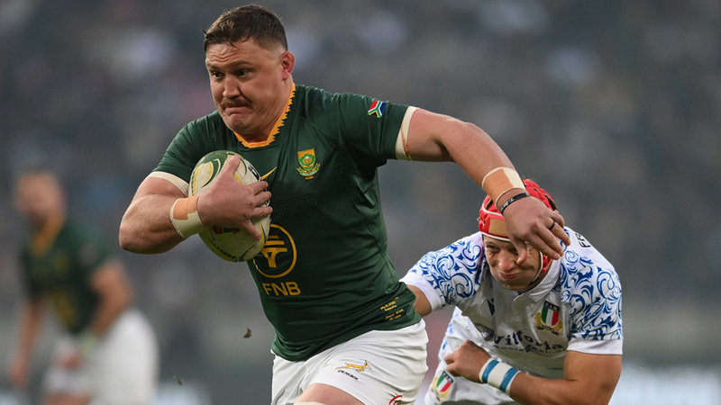 Springbok hardman Wiese faces lengthy ban Springbok hardman Wiese faces lengthy ban | News Article