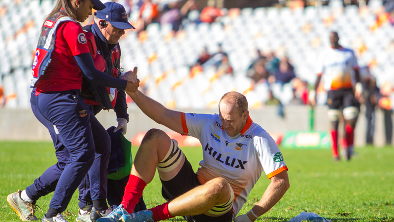 Workhorse Wegner targets Currie Cup return Workhorse Wegner targets Currie Cup return | News Article