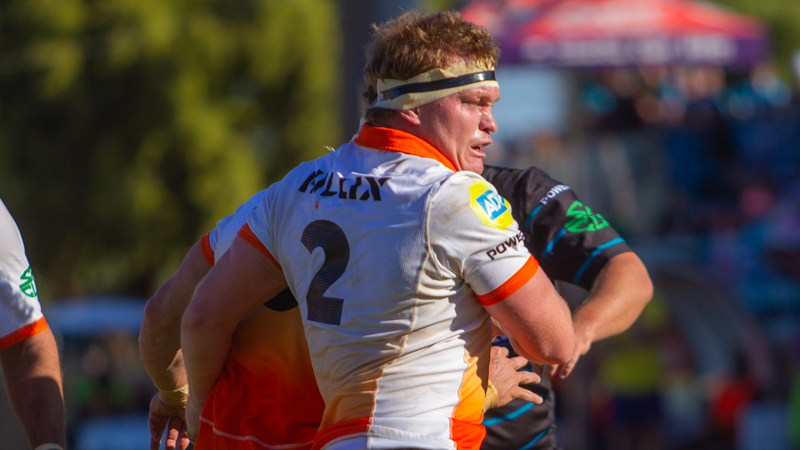 Wounded but ready – Cheetahs set for Griquas battle | News Article
