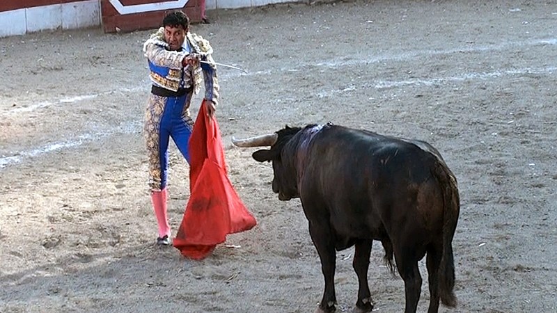 Stiergevegte: Mexikaanse hof hef skorsing op Stiergevegte: Mexikaanse hof hef skorsing op | News Article