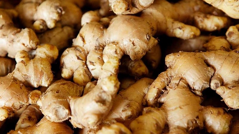 What's new in Farmer’s Weekly? What's new in Farmer’s Weekly? | News Article