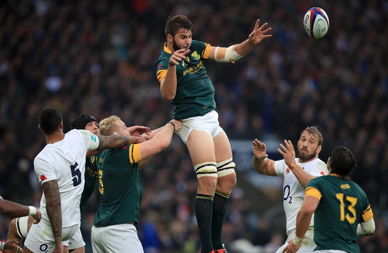 Covid halts Springbok training again | News Article