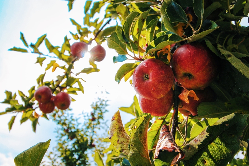 Wat is nuut in Farmer's Weekly? | News Article