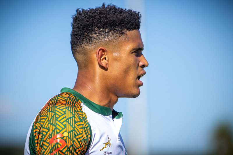 Boks call up Stormers trio for training camp | News Article