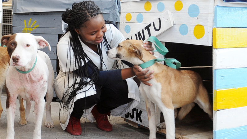 Feel Good Friday – Dierekliniek in Khayelitsha benodig geld vir hawelose diere | News Article