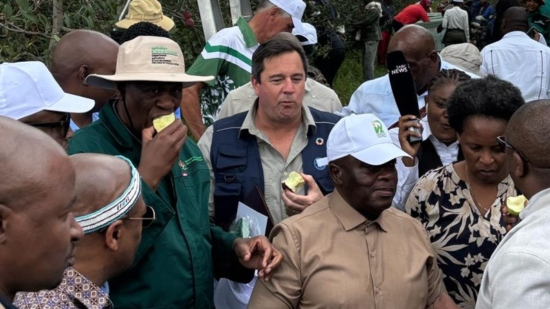 Steenhuisen: Vennootskappe fondasie vir suksesvolle opheffingsprojekte | News Article