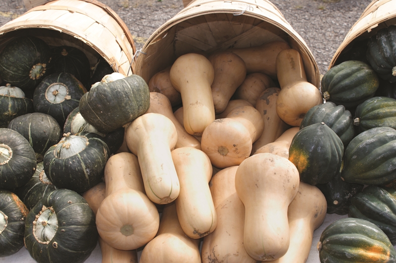 What's new in Farmer’s Weekly?  | News Article