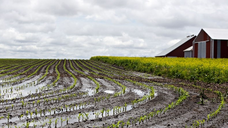 Agri-podcast: Disruptive rain warning issued for parts of Northern Cape Agri-podcast: Disruptive rain warning issued for parts of Northern Cape | News Article