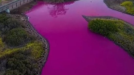 Weird Wide Web – Hawaii se water is pienk! Weird Wide Web – Hawaii se water is pienk! | News Article