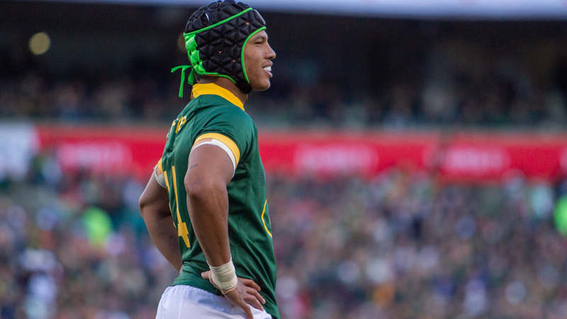 Boks dealt quadruple injury blow for Cape Town Test | News Article