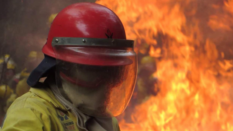 Green veldfires higher than usual this season Green veldfires higher than usual this season | News Article