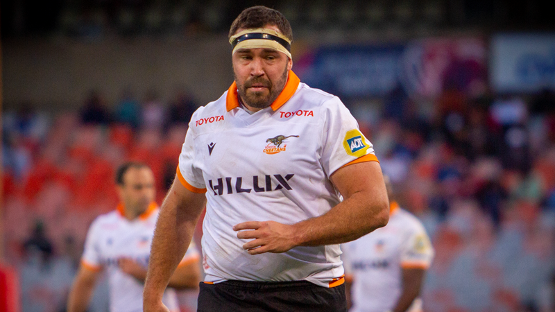 Cheetahs prepared for artificial pitches in Europe Cheetahs prepared for artificial pitches in Europe | News Article