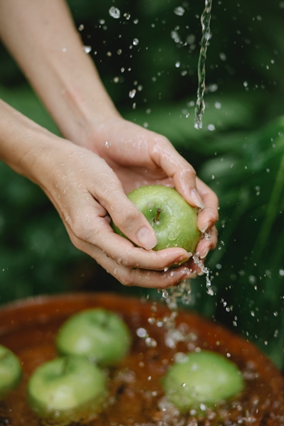 Landbounuus: Agri SA vergader met regering oor voorgestelde regulasies vir waterlisensies | News Article