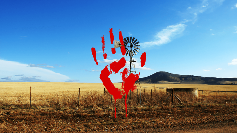 Limpopo police probe farm attack in Musina Limpopo police probe farm attack in Musina | News Article