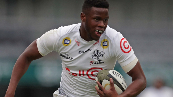 Munster suffers another defeat at hands of Springbok-heavy Sharks Munster suffers another defeat at hands of Springbok-heavy Sharks | News Article