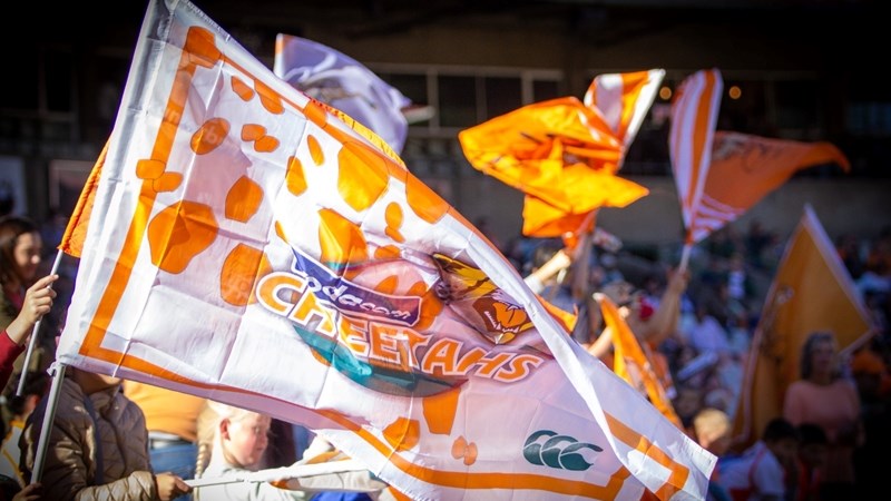 Close to 30 000 tickets sold for the Currie Cup final Close to 30 000 tickets sold for the Currie Cup final | News Article