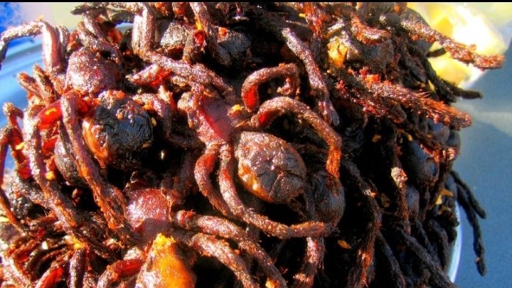 Would You Eat a Fried Tarantula? Would You Eat a Fried Tarantula? | News Article