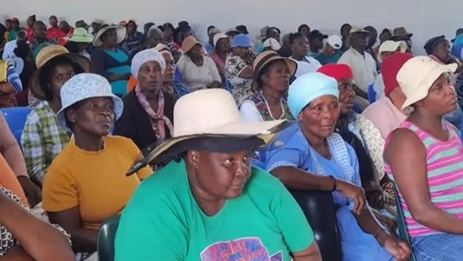 High crime rate concerns Free State municipality High crime rate concerns Free State municipality | News Article