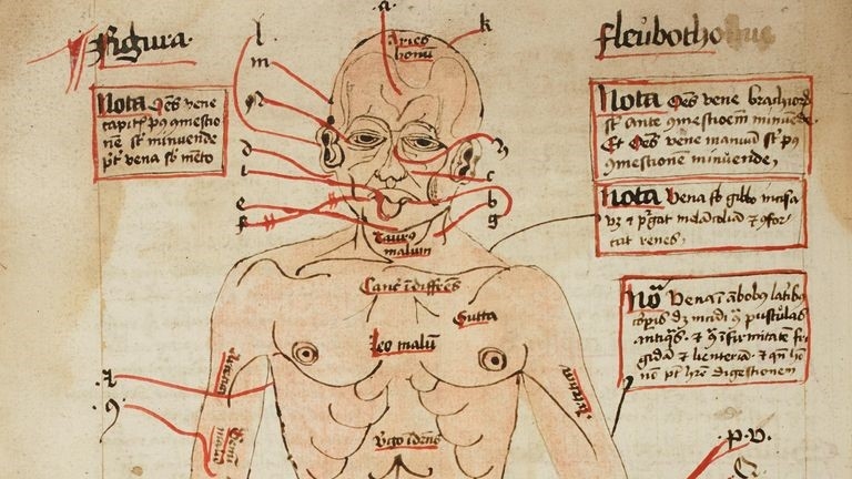 Weird Wide Web - Medieval medical cures | News Article
