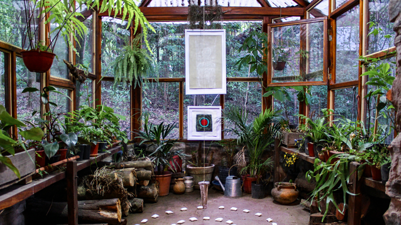 Why having house plants will benefit your well-being Why having house plants will benefit your well-being | News Article