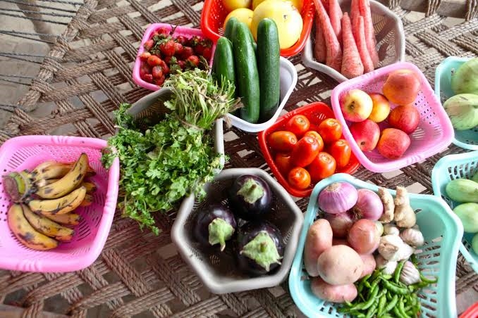 Dialogue held focusing on ensuring access to safe and nutritious food for all | News Article